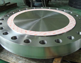 Alloy 201 Blind Flange