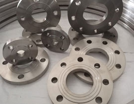 Titanium Flanges