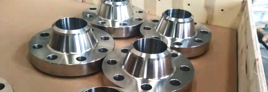 Stainless Steel 321 Flanges
